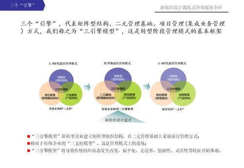 新组织设计教练式咨询服务 赋能个人商务服务的战略转型与卓越成长